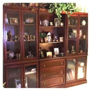 Wall unit (display/bookcase)